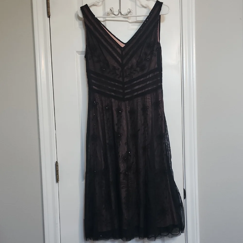 Pink Black Lace Floral Y2K Whimsy Goth Fairy Balletcore Dress EUC Size 8 BCBG